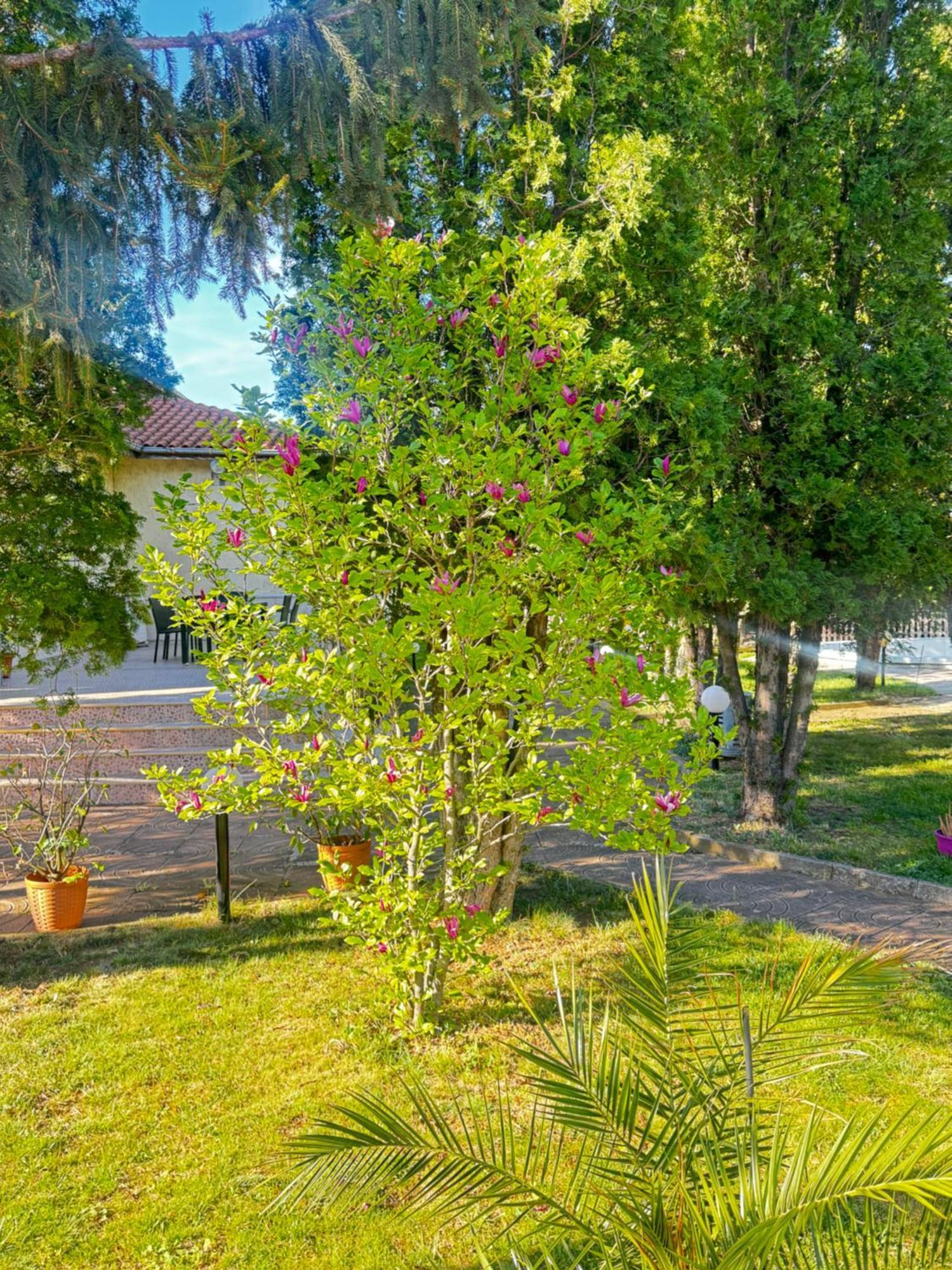 Motel International Берковиця Екстер'єр фото